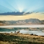Picture of HORSE SUNSET