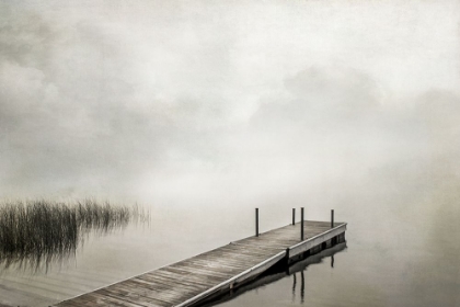 Picture of MISTY DOCK