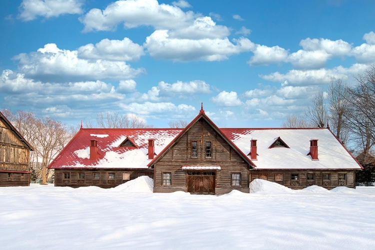 Picture of HOKKAIDO LANDSCAPE NO.10