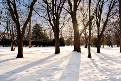 Picture of HOKKAIDO LANDSCAPE NO.11