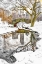 Picture of CENTRAL PARK WINTER NO. 7
