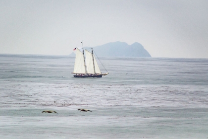 Picture of PACIFIC OCEAN SEASCAPE NO. 2