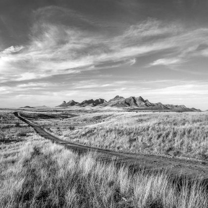 Picture of VANISHING RANCHLANDS NO. 23