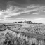 Picture of VANISHING RANCHLANDS NO. 23