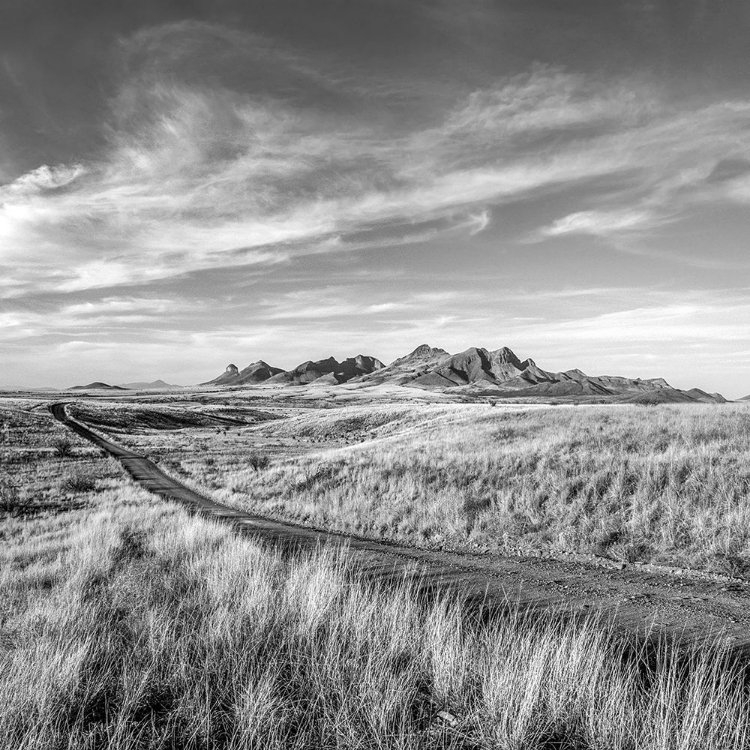 Picture of VANISHING RANCHLANDS NO. 23