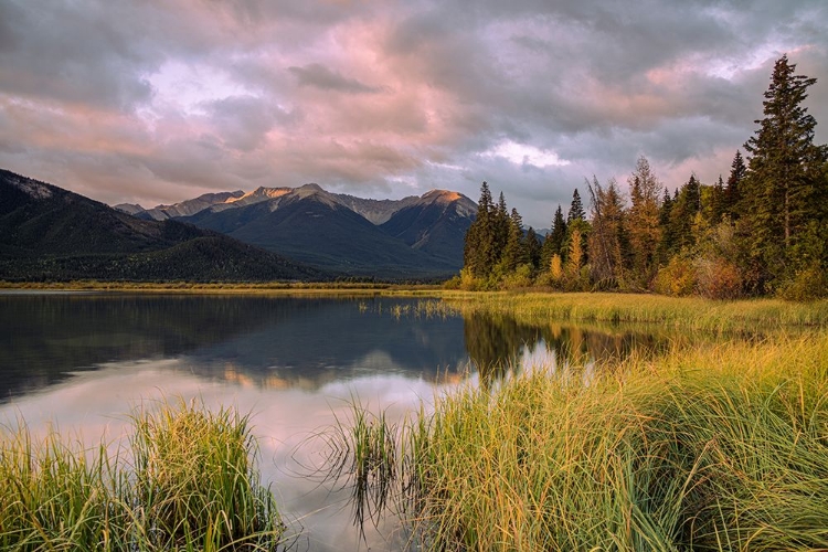 Picture of SUNRISE AT VERMILLION LAKES, CANADIAN ROCKIES
