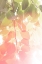 Picture of SUMMER LEAVES NO. 1