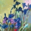 Picture of RED SHOW IRISES