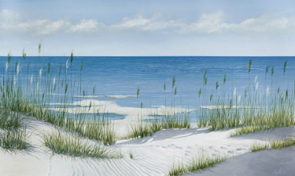 Picture of BEACH GRASS