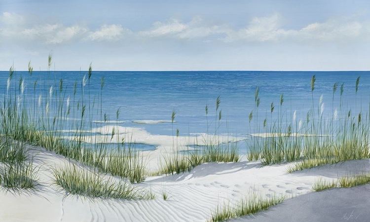 Picture of BEACH GRASS