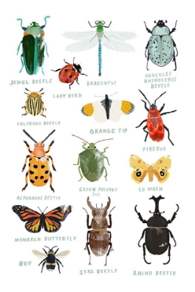 Picture of BUGS