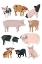 Picture of PIGS IN GLASSES