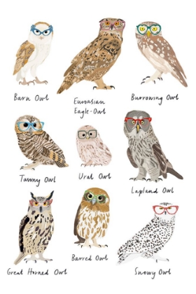 Picture of OWLS IN GLASSES