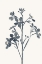 Picture of BLUE FLOWERS 1