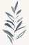 Picture of BLUE PLANT 2