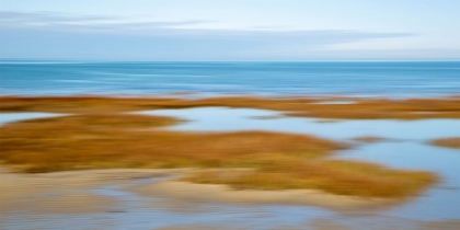 Picture of SALT MARSH ABSTRACT