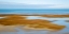 Picture of SALT MARSH ABSTRACT
