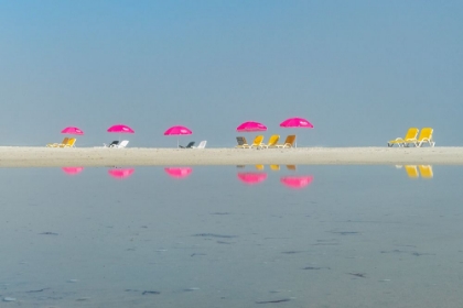 Picture of CAMPS BAY BEACH UMBRELLAS