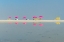 Picture of CAMPS BAY BEACH UMBRELLAS