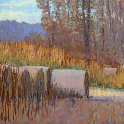 Picture of AUTUMN HAYBALES