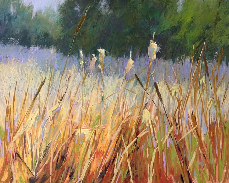 Picture of CATTAILS