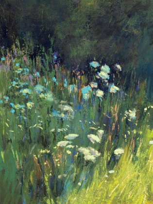 Picture of WILDFLOWERS