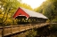 Picture of FLUME COVERED BRIDGE