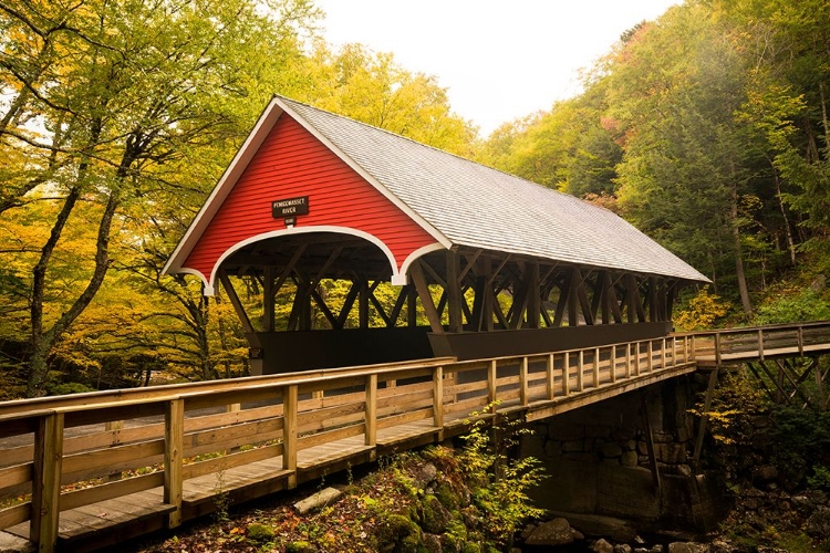 Picture of FLUME COVERED BRIDGE