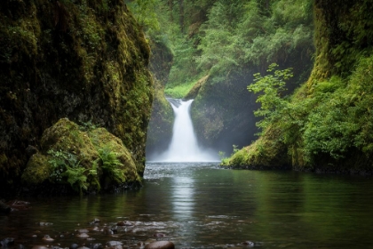Picture of PUNCHBOWL FALLS