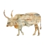 Picture of OX