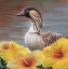 Picture of STATE BIRD HAWAII
