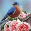 Picture of STATE BIRD NEW YORK