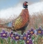 Picture of STATE BIRD SOUTH DAKOTA
