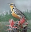 Picture of STATE BIRD WYOMING