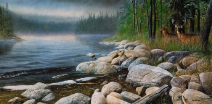 Picture of MISTY WATERS