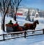 Picture of SLEIGH
