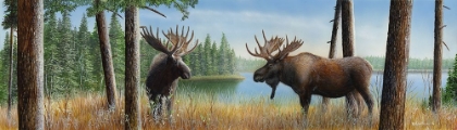 Picture of MOOSE MEADOW