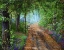 Picture of THE COUNTRY ROAD