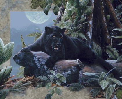 Picture of BLACK PANTHER