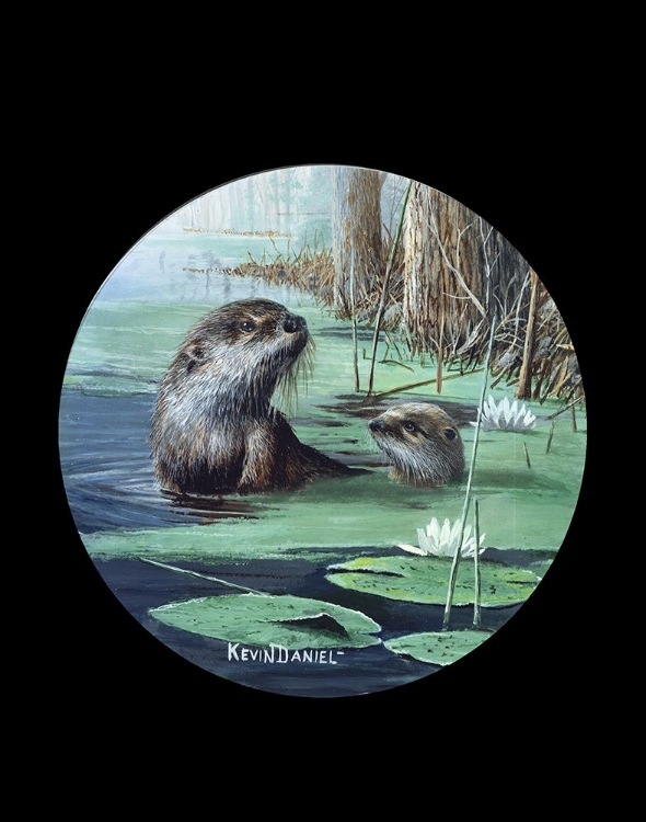 Picture of RIVER OTTER