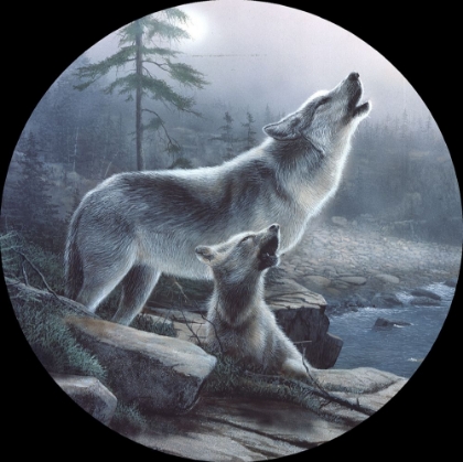 Picture of HOWLING LESSONS