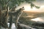 Picture of CALL OF THE WILD