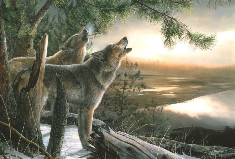 Picture of CALL OF THE WILD