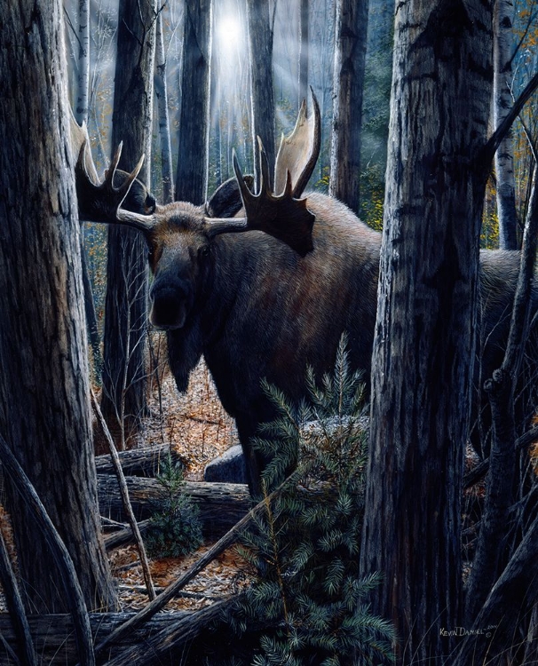 Picture of KING OF THE NORTHWOODS