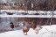 Picture of RIVERS EDGE