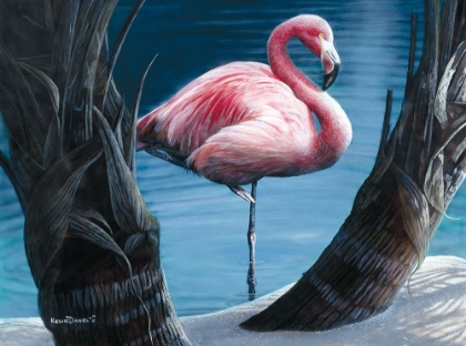 Picture of FLAMINGO