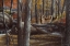 Picture of AUTUMN ALERT