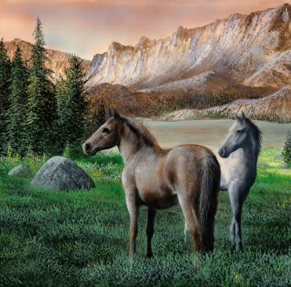 Picture of WILD STALLIONS