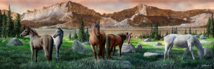 Picture of HORSE VIEW