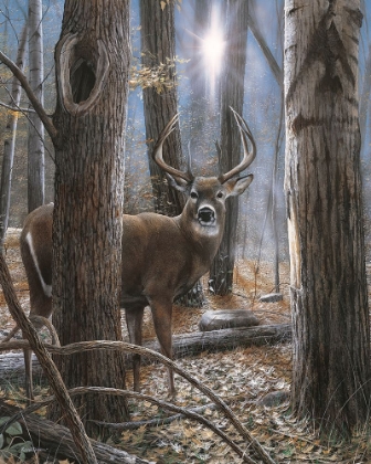 Picture of WOODLAND SENTRY BUCK